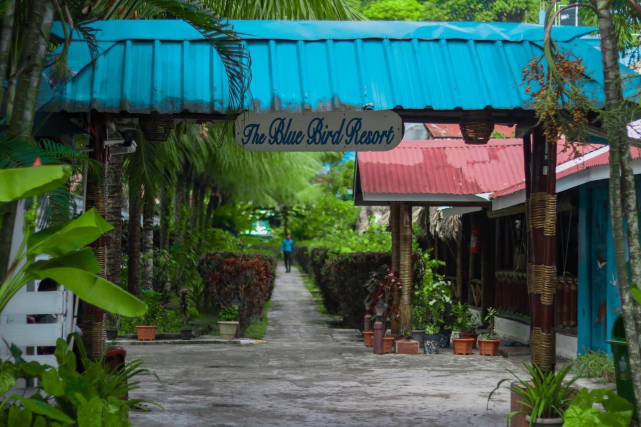 Blue Bird Resort Vijay Nagar Beach Exterior foto